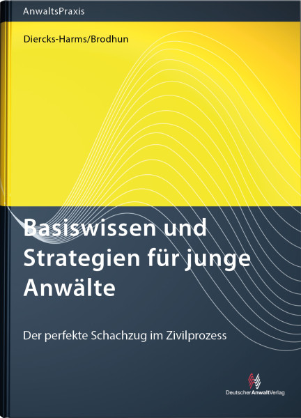 Basiswissen und Strategien für junge Anwälte